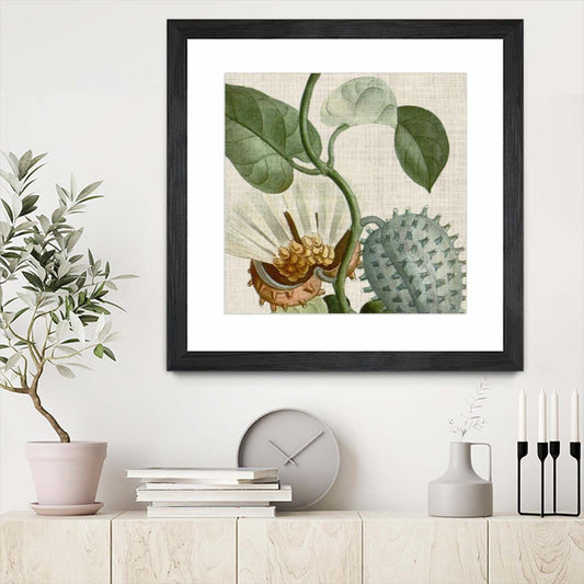 Œuvre d’art murale encadrée noire et mate « Cropped Turpin Tropicals Ii » 30 x 30