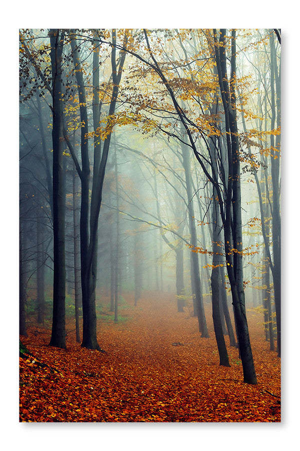 Paysage d’automne 28x42 Cadre d’art mural et panneau de tissu| Paysage d'Automne 28 po x 42 po : Cadre d'art mural et panneau de tissu|D44GRMEJ