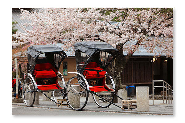 Cadre mural et panneau de tissu représentant un rickshaw japonais avec un cerisier en fleurs (28 x 42 po) | D44GG59A