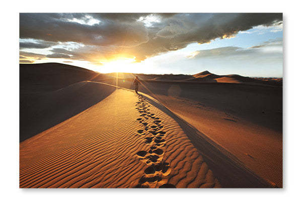 Hike In Desert 28x42 : Cadre d'art mural et panneau de tissu | D44GWWP3