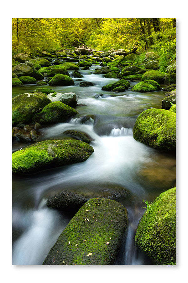 Ralentir l'eau dans un ruisseau : Cadre et panneau de tissu 16 x 24 po | Ralentir l'eau dans un ruisseau 16 po x 24 po : Cadre d'art mural et panneau de tissu | D44GWOAD