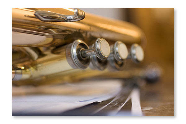 Trumpet Pistons 24x36 Cadre d'art mural et panneau de tissu| Trumpet Pistons 24 po x 36 po : Cadre d'art mural et panneau de tissu|D44GC880