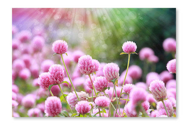 Cadre d’art mural fleur 28x42 et panneau de tissu| Fleur 28 po x 42 po : Cadre d'art mural et panneau de tissu|D44GQUR4