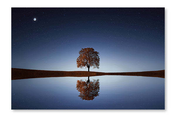 Tree Near Lake At Night 28x42 Wall Art Frame And Fabric Panel| Tree Near Lake At Night 28 po x 42 po : Cadre d'art mural et panneau de tissu|D44GXZ8R