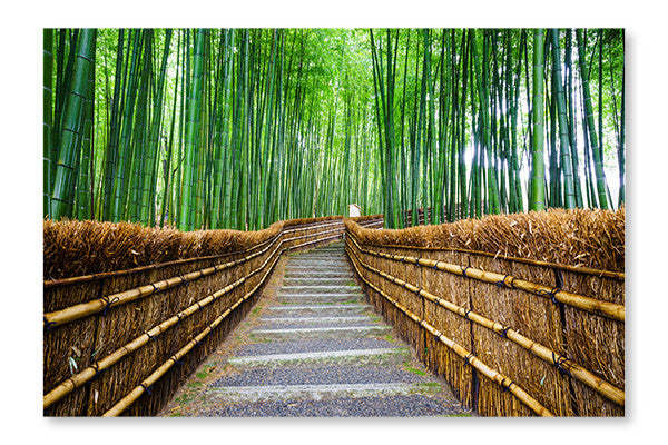 Path To Bamboo Forest, Arashiyama 28x42 Wall Art Frame And Fabric Panel| Path To Bamboo Forest, Arashiyama 28 po x 42 po : Cadre d'art mural et panneau de tissu|D44GN9BA
