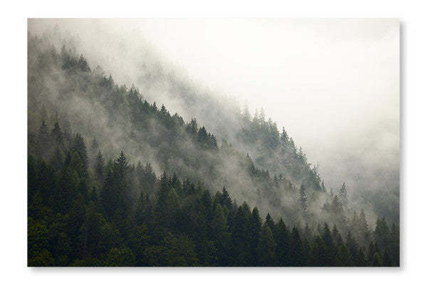 Forêt brumeuse 16 x 24 po : Cadre d'art mural et panneau de tissu | Forest Fog 16 po x 24 po : Cadre d'art mural et panneau de tissu | D44G3RGC