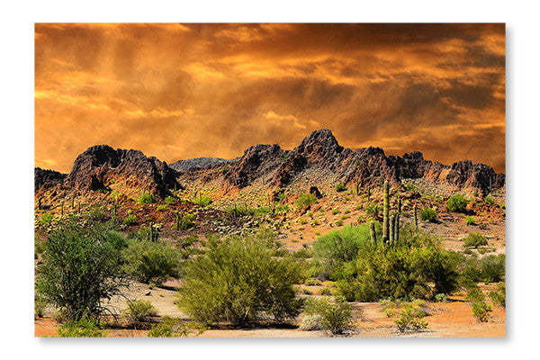 Cadre mural et panneau en tissu « Frontière du Nouveau-Mexique » 16 x 24 po | D44GFYSV