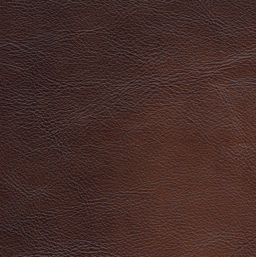 Causeuse Standwood en cuir de Hydeline - marron