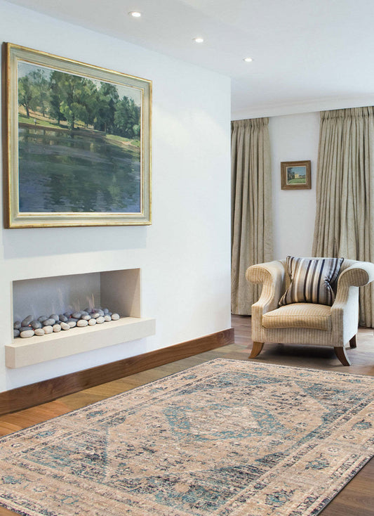 Tapis Hansel Classic argent-noir - 152 x 244 cm | D270CLLV