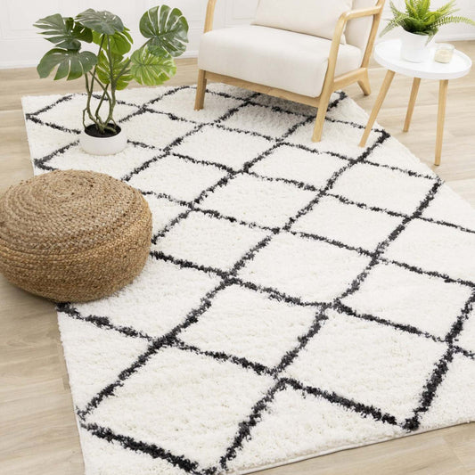 Taylor Trellis Indoor Area Rug - 7'10 x 10'6|Tapis d'intérieur à motif de treillis Taylor - 7 pi 10 po x 10 pi 6 po