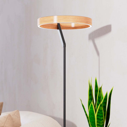 63 Matte Black Modern LED Lampadaire |Lampe à pied moderne de 63 po noir mat à DEL