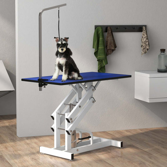Pawhut Table De Toilettage Pour Chien, Table De Toilettage Professionnelle Deluxe Pour Chiens Plus Grands Z-lift Hydraulique W|Pawhut Table De Toilettage Deluxe Professionnelle Hydraulique Pour Chien Avec Bras Coulant, Bleu