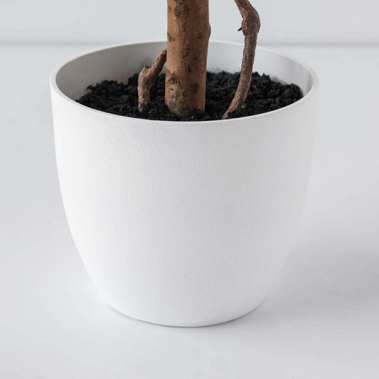 Arbre poinsettia rouge 59|Arbre poinsettia rouge de 59 po