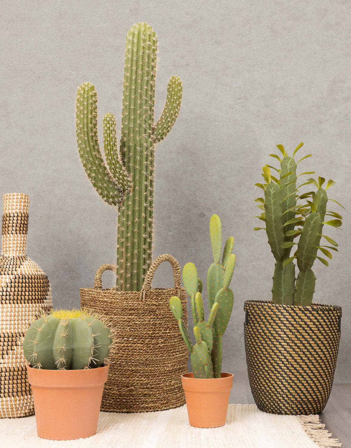 Cactus artificiel à 21 oreilles de lapin dans un pot en terre cuite | Cactus opuntia artificiel de 21 po en pot terre cuite | D10H1ZWS