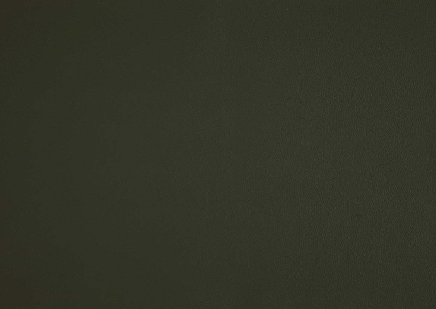 Chaise d'appoint Murdock en cuir vert | Fauteuil D'appoint Murdock En Cuir Vert