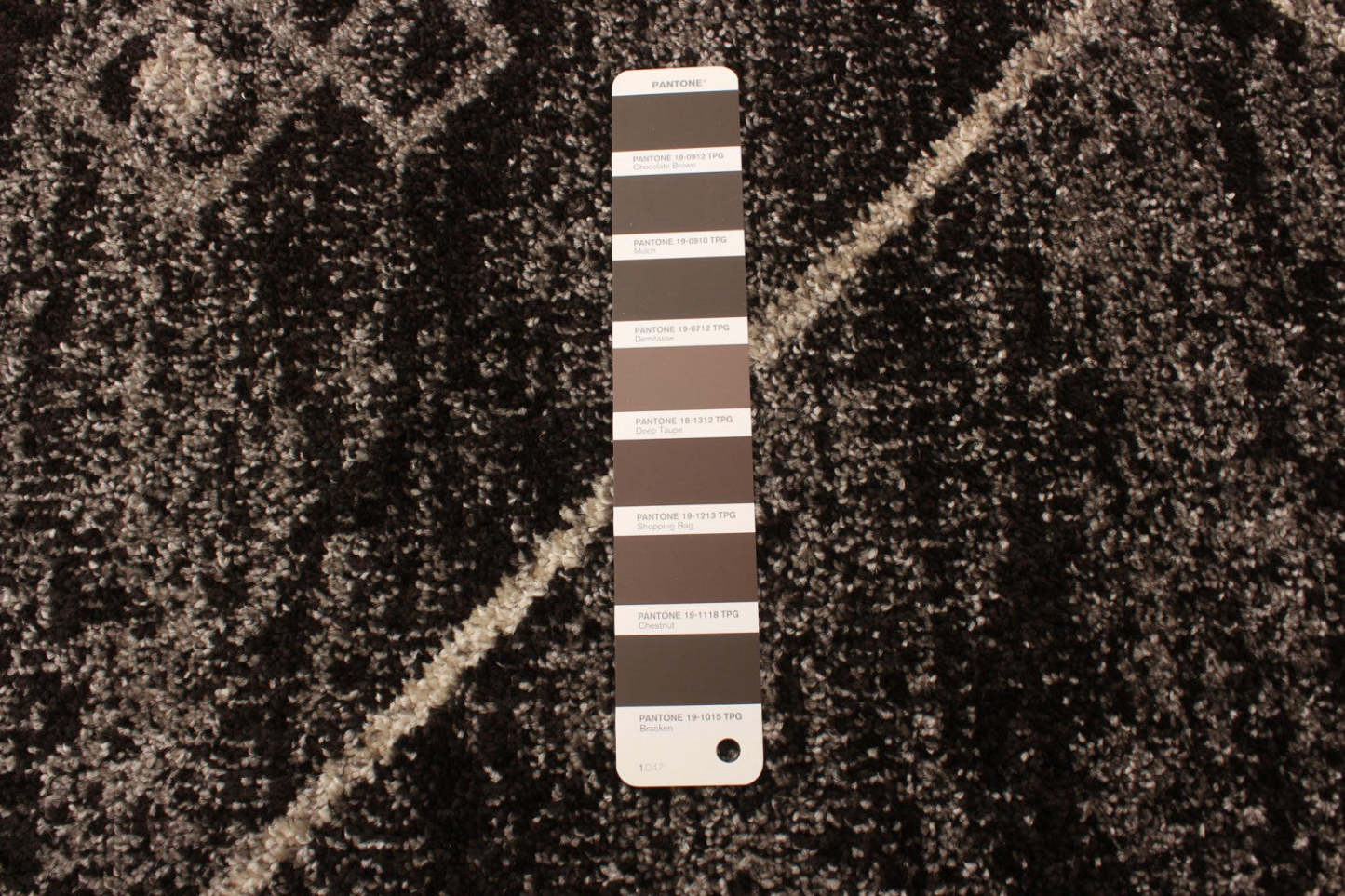 Grande Brown/Ivory 3'11 X 5'7 Area Rug|Tapis Grande Marron / Ivoire 3pi 11 po X 5pi 7po| D27DPCNO|Carpette Grande ivoirebrune 3 pi 11 po x 5 pi 7 po|D27DPCNO