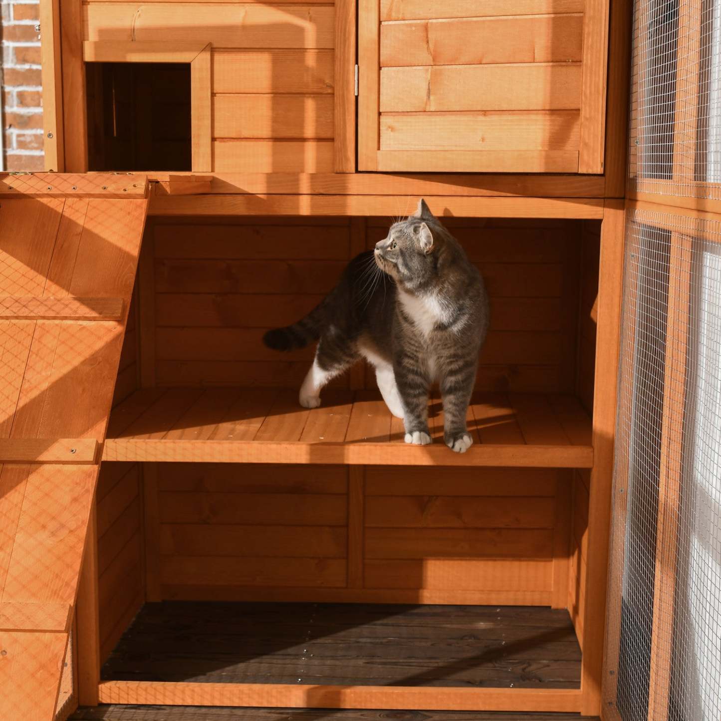 Pawhut Grande Catio Enclos Extérieur Pour Chats Résistant aux Intempéries Maison Pour Chats Avec Condo, Chat En Bois Intérieur