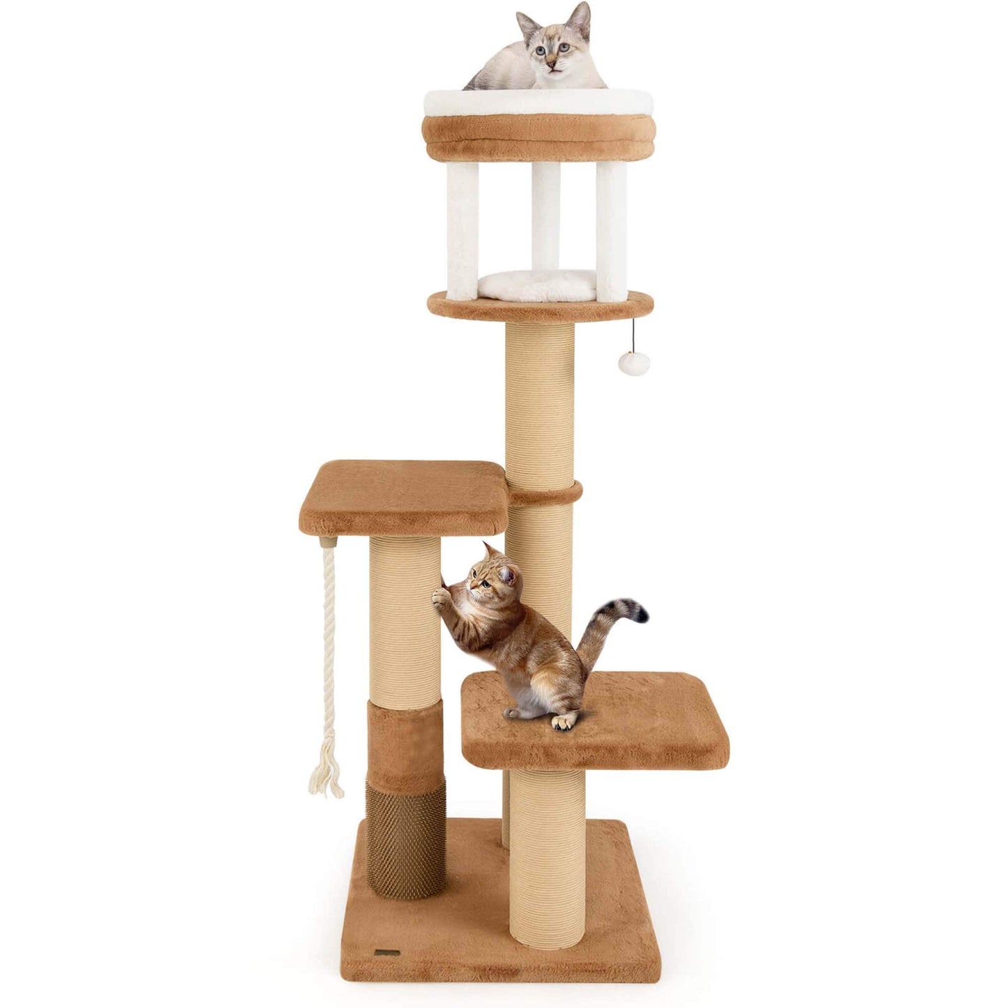 Arbre à chat Costway 65 cm de haut pour intérieur avec perchoir rembourré autonettoyant - Voir les détails