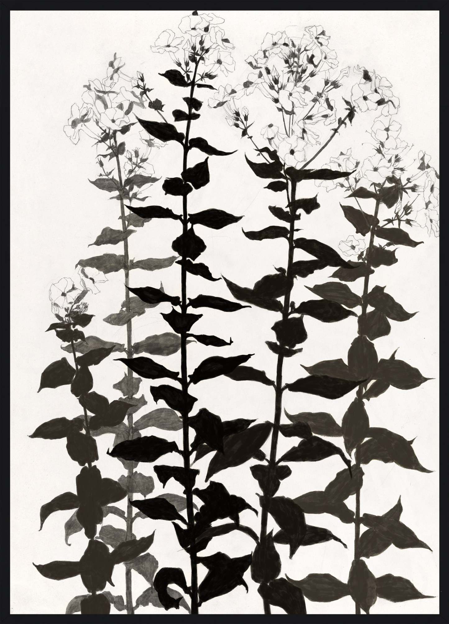 Œuvre d'art imprimée très lustrée « Botanica » - 33 po x 45 po