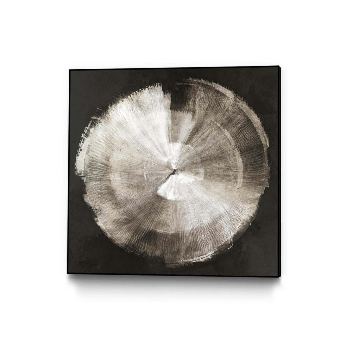 Touch Of Silver Canvas Framed Black 20x20 Wall Art|Œuvre d'art murale sur toile encadrée noire « Touch Of Silver » 20 x 20