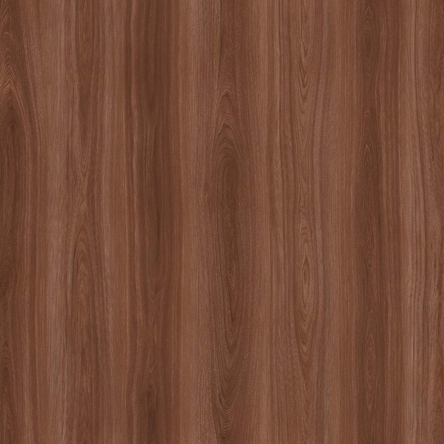 Manhattan Comfort Mid-Century Modern Ratzer Bibliothèque avec 5 étagères - Marron et Blanc|Bibliothèque Ratzer de Manhattan Comfort de style moderne du milieu du 20e siècle avec 5 tablettes - brune et blanche