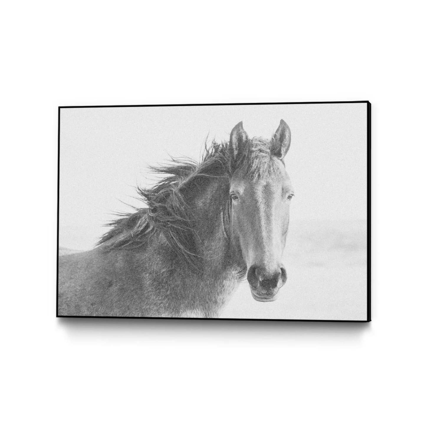 Staredown Canvas Framed Black 36x24 Wall Art|Œuvre d'art murale sur toile encadrée noire « Staredown » 36 x 24