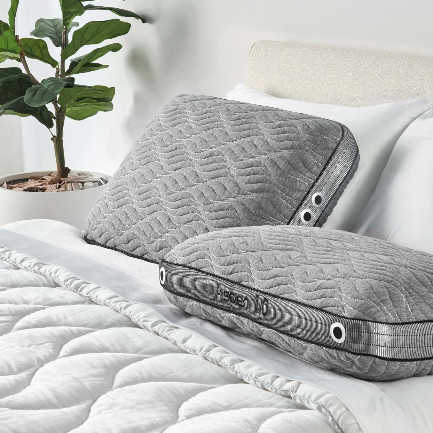 BEDGEAR Aspen 1.0 Performance Pillow - Stomach Sleeper | Oreiller Aspen 1.0 Performance de Bedgear - pour dormeur sur le ventre