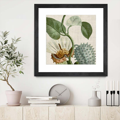 Œuvre d’art murale encadrée noire et mate « Cropped Turpin Tropicals Ii » 30 x 30