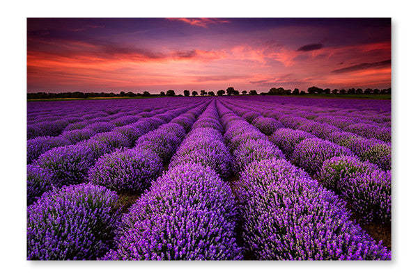 Cadre mural et panneau de tissu « Coucher de soleil lavande » 28 x 42 po | D44GD09X