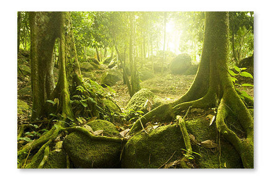 Cadre mural et panneau en tissu Green Forest 28x42 | Green Forest 28 po x 42 po : Cadre d'art mural et panneau de tissu | D44G5WG3