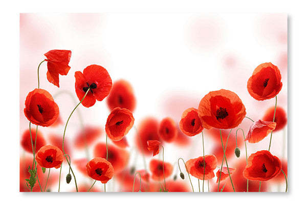 Cadre mural et panneau de tissu « Champ de coquelicots » 28 x 42 po | Poppy Field 28 po x 42 po : Cadre d'art mural et panneau de tissu | D44GVPV4