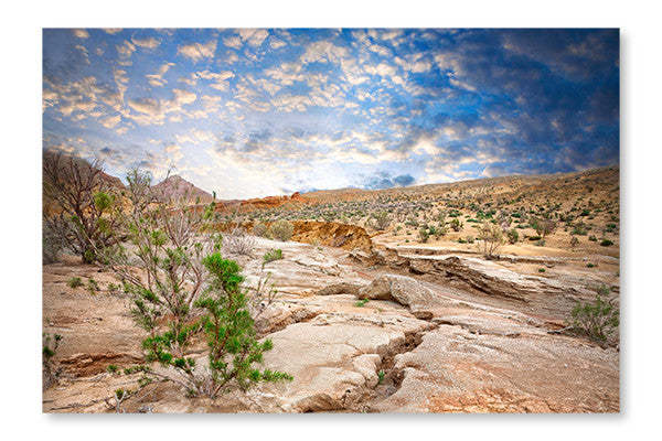 Paysage semi-désertique 24 x 36 po : Cadre d'art mural et panneau de tissu | D44GUZNA