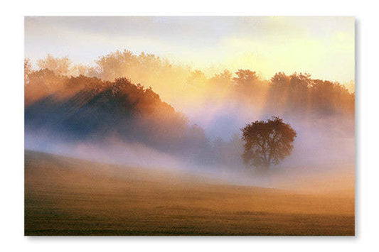 Cadre mural et panneau de tissu Spring Mist 28 x 42 po | Spring Mist 28 po x 42 po : Cadre d'art mural et panneau de tissu | D44GCL5Q