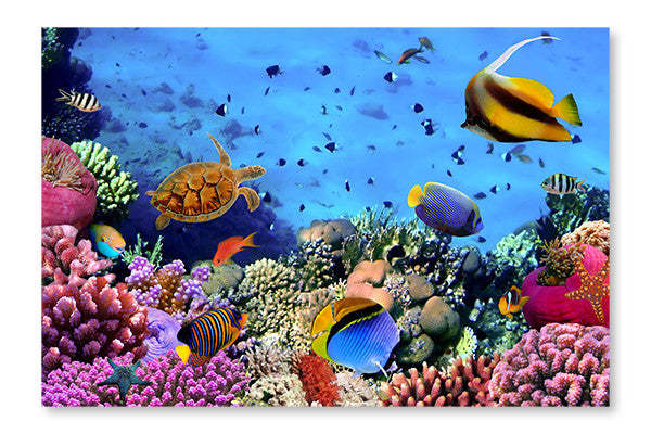 Photo d'une colonie de corail sur un récif, Égypte 28 x 42 po : Cadre d'art mural et panneau de tissu | Photo d'une colonie de corail sur un récif, Égypte 28 po x 42 po : Cadre d'art mural et panneau de tissu | D44G1RQ5