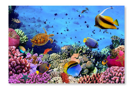 Photo d'une colonie de corail sur un récif, Égypte 28 x 42 po : Cadre d'art mural et panneau de tissu | Photo d'une colonie de corail sur un récif, Égypte 28 po x 42 po : Cadre d'art mural et panneau de tissu | D44G1RQ5