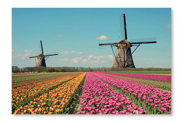 Paysage fantastique avec des moulins à vent et un champ de tulipes 24x36 Art mural cadre et panneau en tissu | Paysage fantastique avec des moulins à vent et un champ de tulipes 24 po x 36 po : Cadre d'art mural et panneau de tissu | D44GZB11