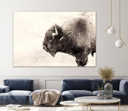 Buffalo Giant Art 72x48 Wall Art|Œuvre d’art murale Giant Art « Buffalo » 72 x 48