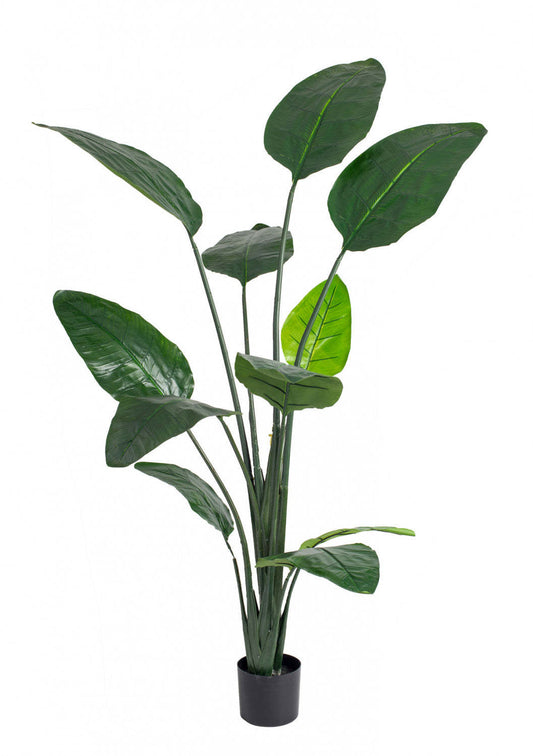 Oiseau du paradis artificiel de 70 po pour l’intérieur et l’extérieur en pot noir | D10H9VQ6