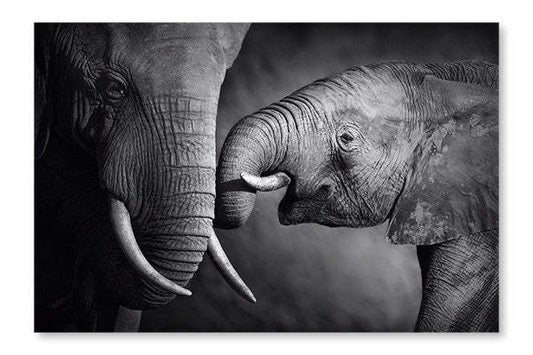 Elephant Affection Cadre d'art mural et panneau en tissu 28 x 42 | Elephant Affection 28 po x 42 po : Cadre d'art mural et panneau de tissu|D44GU27C