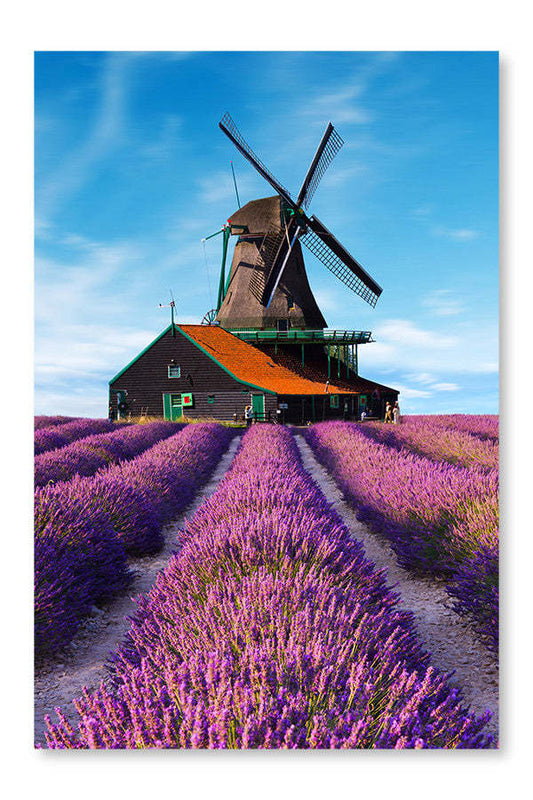 Champs de lavande avec moulin à vent 28 x 42 po : Cadre d'art mural et panneau de tissu | Champs de lavande avec moulin à vent 28 po x 42 po : Cadre d'art mural et panneau de tissu | D44GVHJ7
