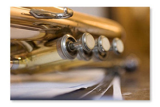 Trumpet Pistons 24x36 Cadre d'art mural et panneau de tissu| Trumpet Pistons 24 po x 36 po : Cadre d'art mural et panneau de tissu|D44GC880