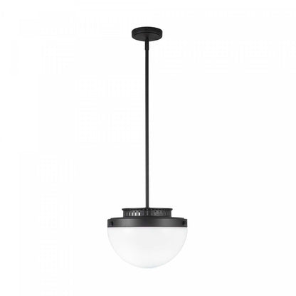 Lampe suspendue Dahlia à 1 ampoule 12, lampe noire | Suspension A 1 lampe Dahlia De 12 po, Noire