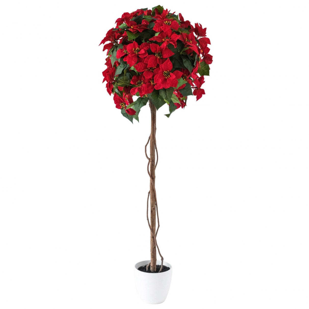 Arbre poinsettia rouge 59|Arbre poinsettia rouge de 59 po