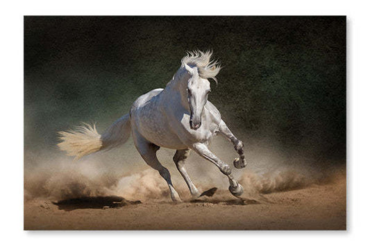 Horse Run 24x36 : Cadre d'art mural et panneau de tissu | Horse Run 24 po x 36 po : Cadre d'art mural et panneau de tissu | D44GTFK9