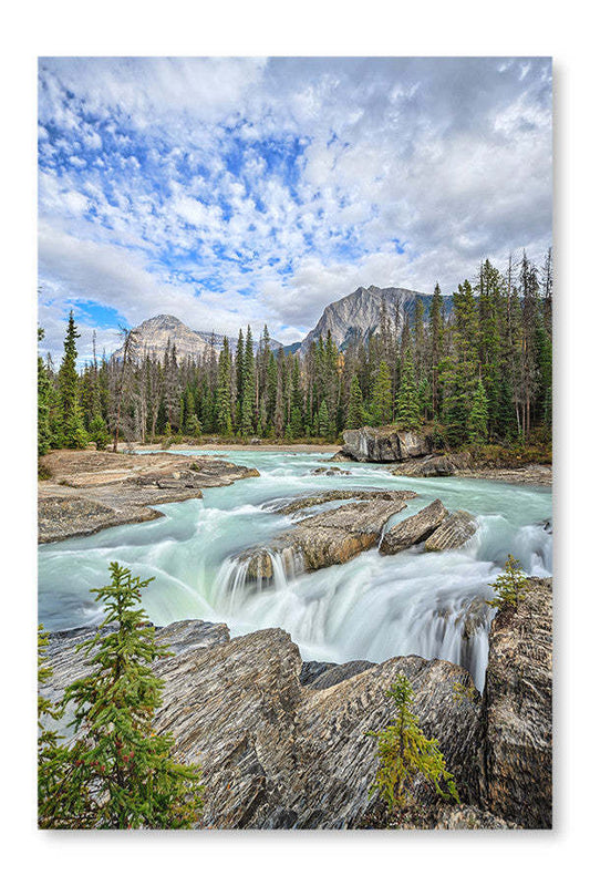 Nature Canada 24x36 Cadre d'art mural et panneau de tissu| Nature Canada 24 po x 36 po : Cadre d'art mural et panneau de tissu|D44GYPME