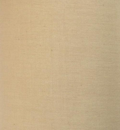 Limelights Ensemble de 2 lampes en acier brossé avec prise de recharge et abat-jour en tissu, ensemble de lampes beige|Ensemble 2 lampes Limelights brun clair avec pied mince acier brossé et prise de recharge|D2149GHE