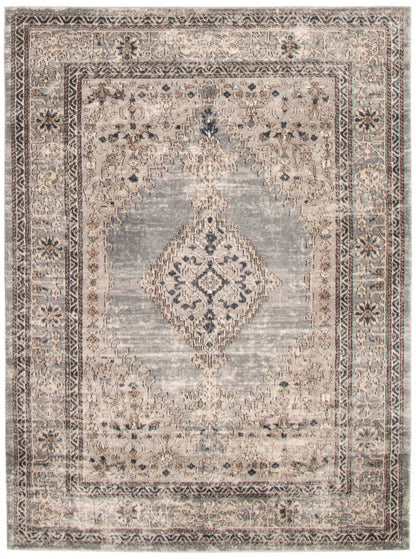 Carpette Octavian Bijar bleu - 5 pi 3 po x 7 pi 3 po| D2BERW28