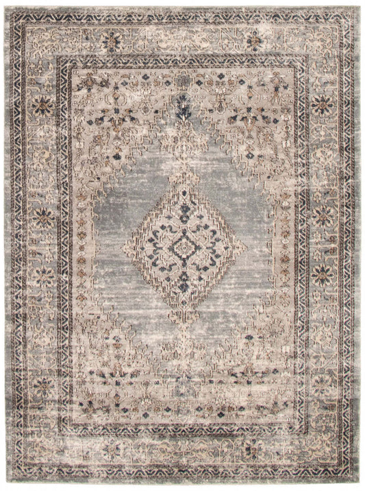 Carpette Octavian Bijar bleu - 5 pi 3 po x 7 pi 3 po| D2BERW28