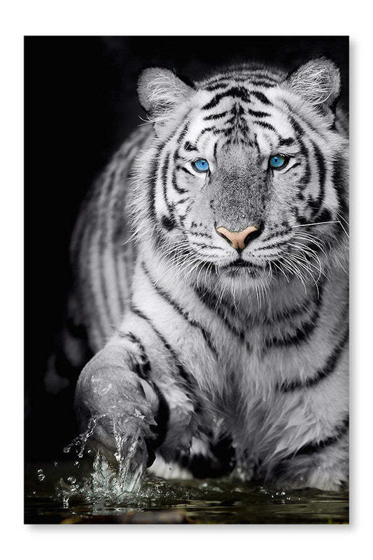 Tigre noir et blanc 16 x 24 po : Cadre d'art mural et panneau de tissu | D44G2KVB