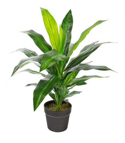 Artificiel 25 Dracaena en pot noir | Dracaena artificiel de 25 po en pot noir | D10HINJR
